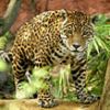 Central Park Zoo