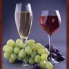 Vino